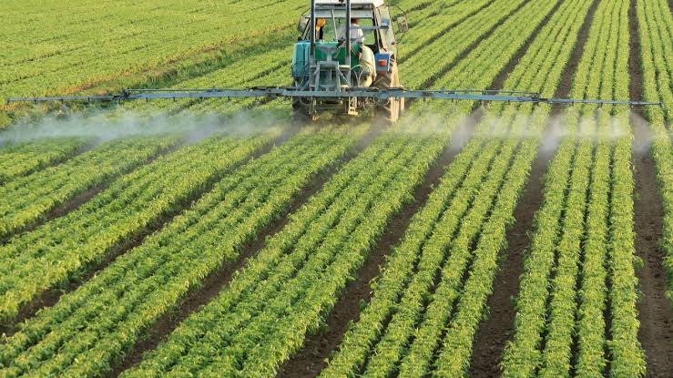 Commercial Farming