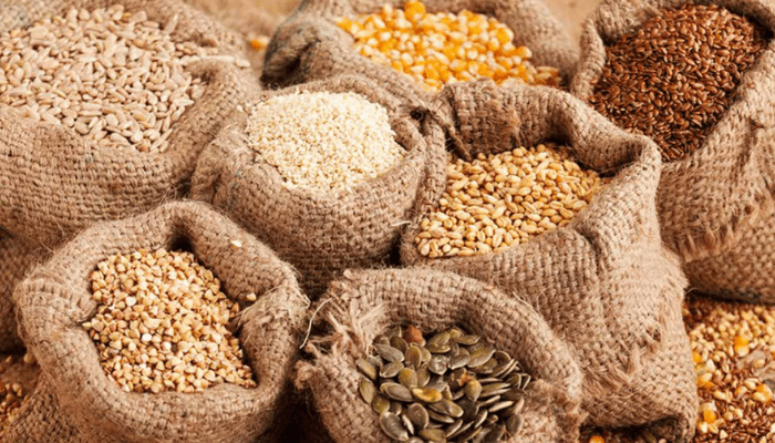 Seed Genetics